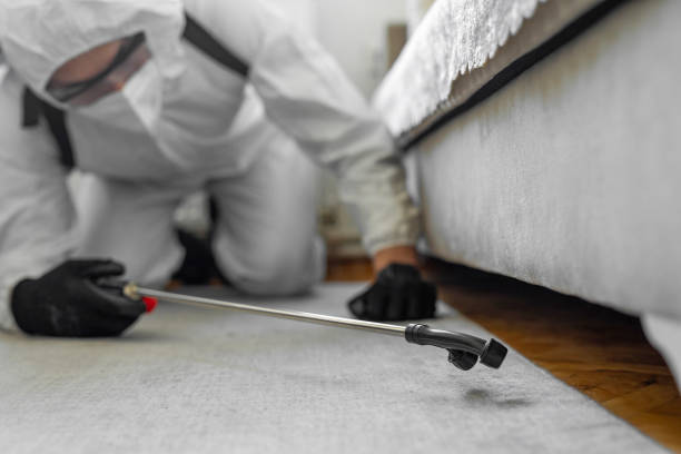 Professional Termite Control technician working in McCordsville, IN