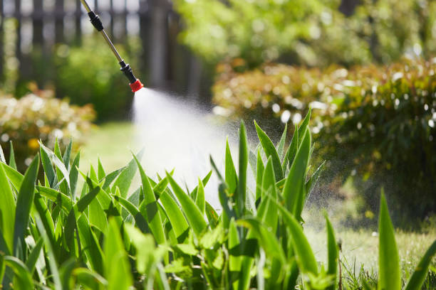 24/7 Emergency Termite Control experts in McCordsville, IN