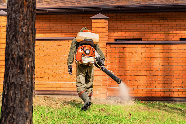 Trusted Ant Control service in McCordsville, IN - Nex Pest Control